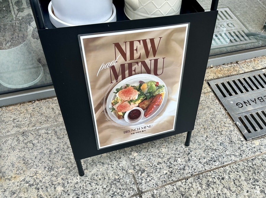 파올 사진 2