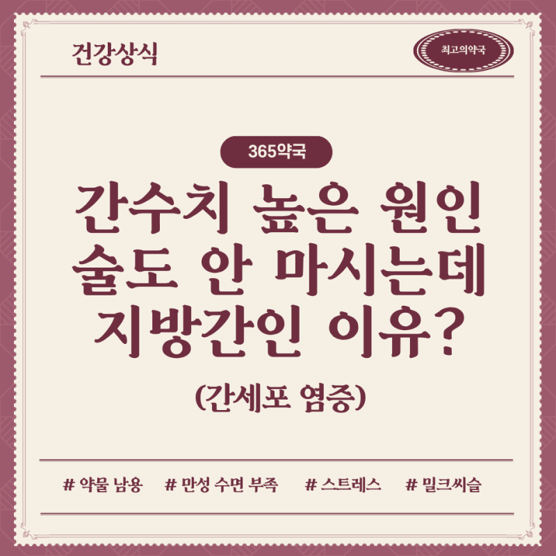 간수치가 높은 이유 4가지 원인과 약국 밀크씨슬 선택