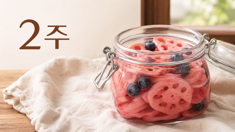 연근블루 베리피클 황금비율 물러지지 않게 냉장 2주 보관법