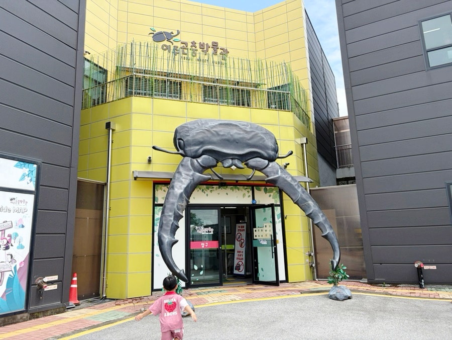 여주곤충박물관 사진 2