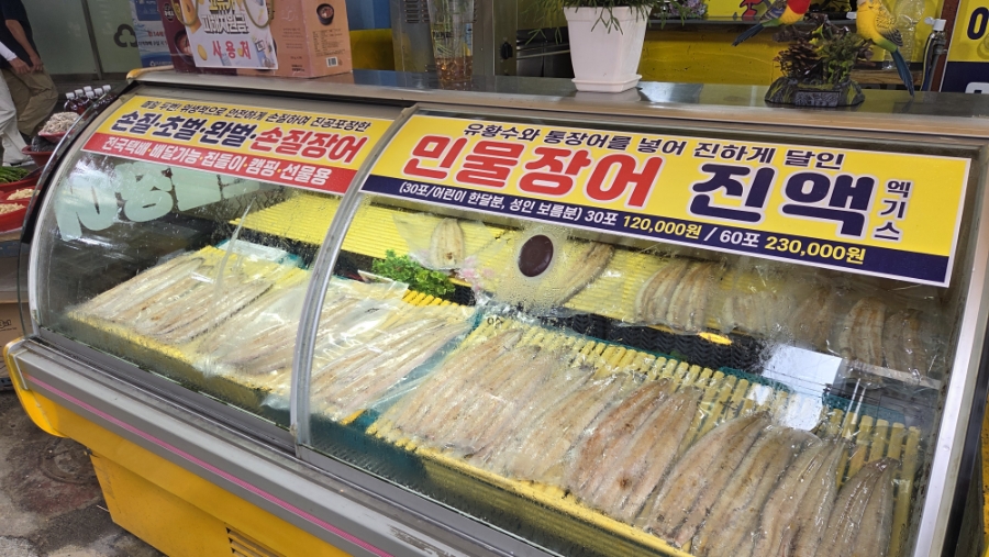 온양장어 사진 5