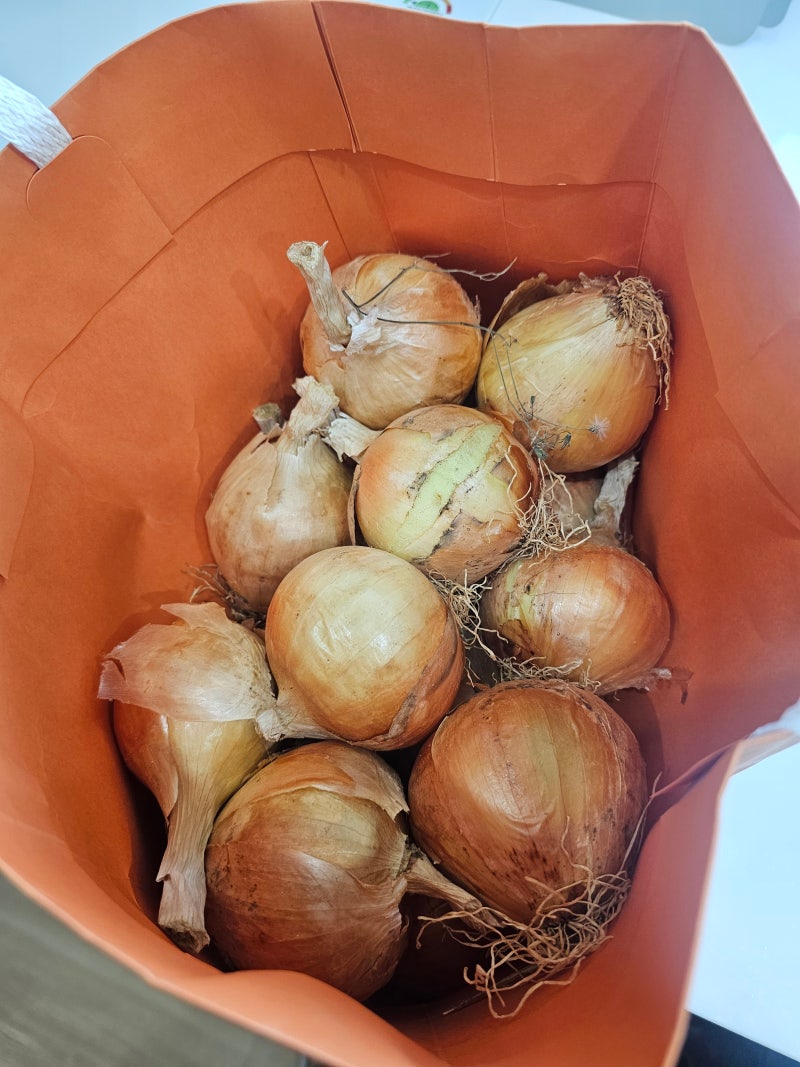 양파 오래 보관하기