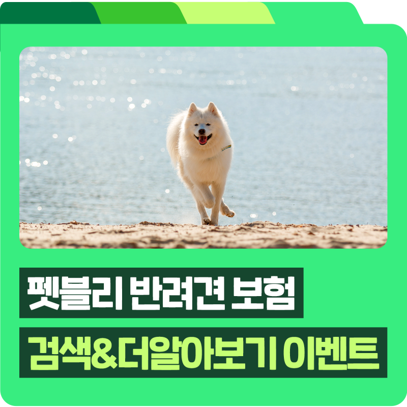 [이벤트] DB손해보험 펫블리 반려견 보험 검색&더 알아보기 이벤트 참여하고 네이버페이 받아....