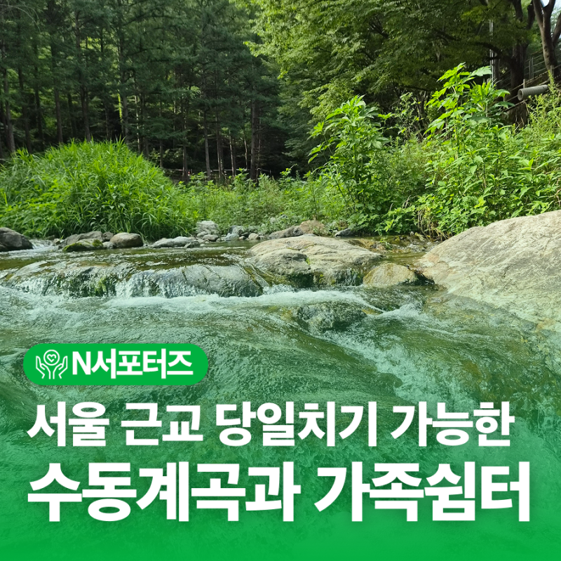 남양주 수동계곡과 가족쉼터 완벽 가이드, 서울 근교 당일치기 가능한 계곡
