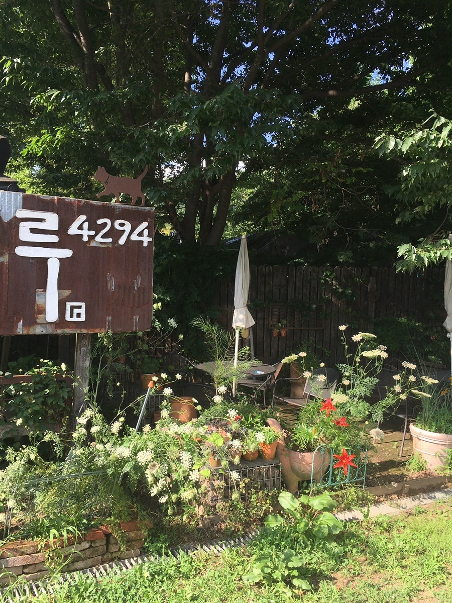 시루4294 사진 4
