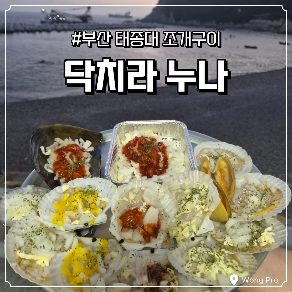 닥치라누나 사진 1