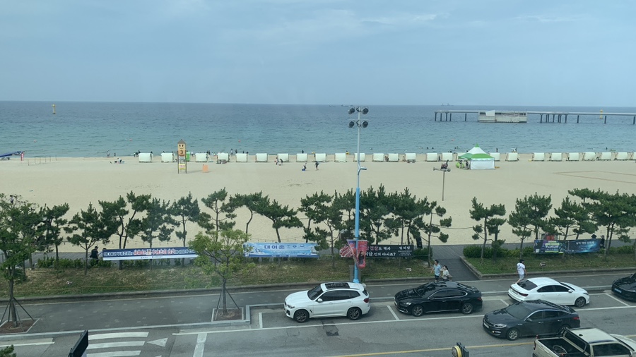 바다를담다 사진 4