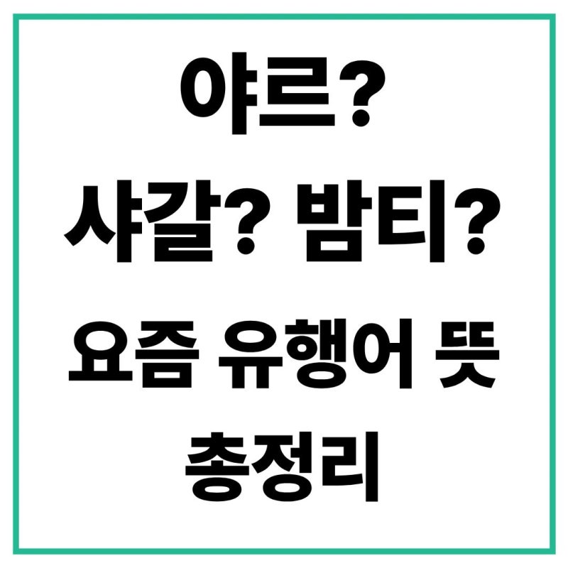 야르? 샤갈? 밤티? 요즘 유행어 뜻 부터 사용법 까지 총정리