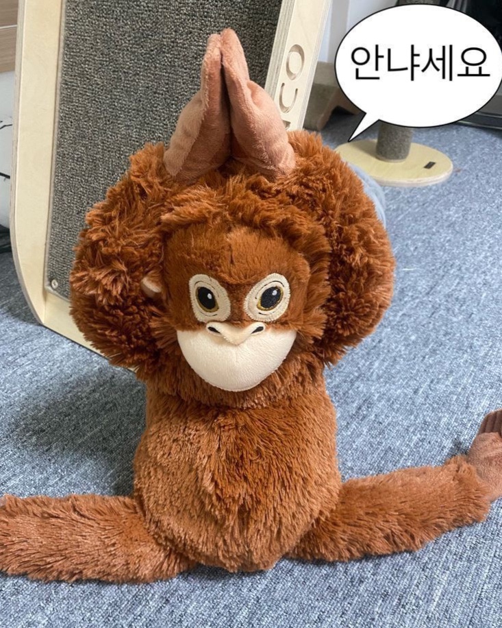 베이직브레드 사진 1