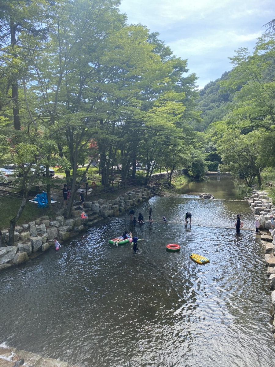 왕의숲 국민여가 캠핑장 캐빈하우스 사진 2