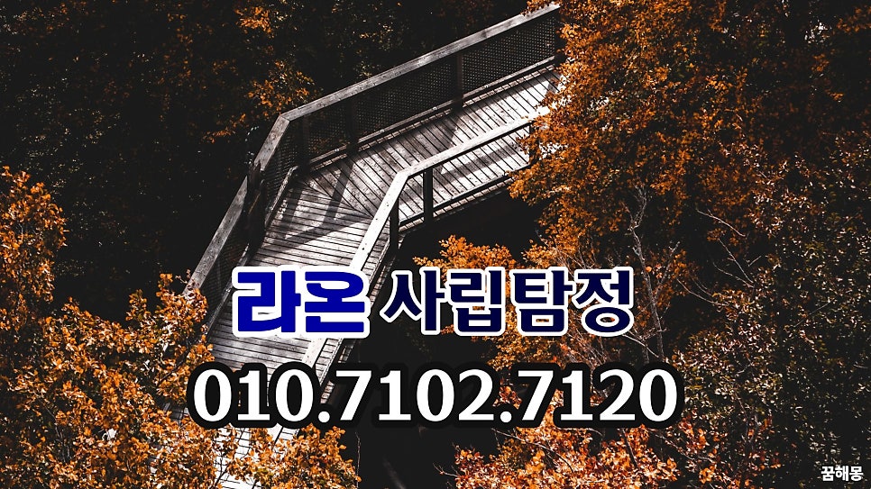 시선 사진 3