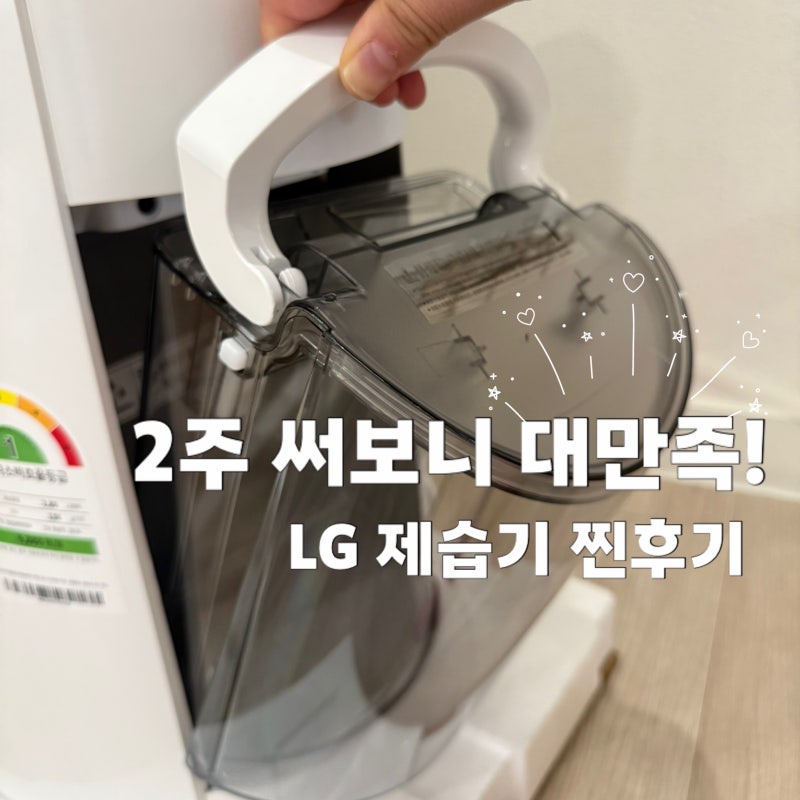 내돈내산 LG 휘센 제습기 20L (DQ205PSVA) 2주 사용 후기｜장단점·자동건조·UV팬살균 총정리