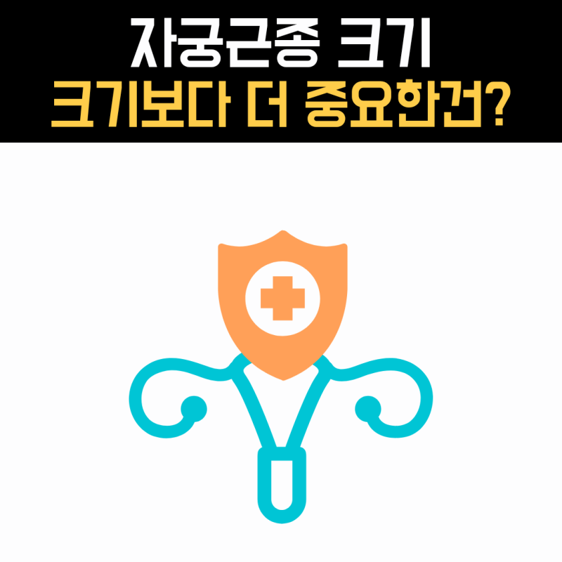 자궁근종 크기 5cm면 큰 걸까요? 3cm·10cm, 크기보다 중요한 것