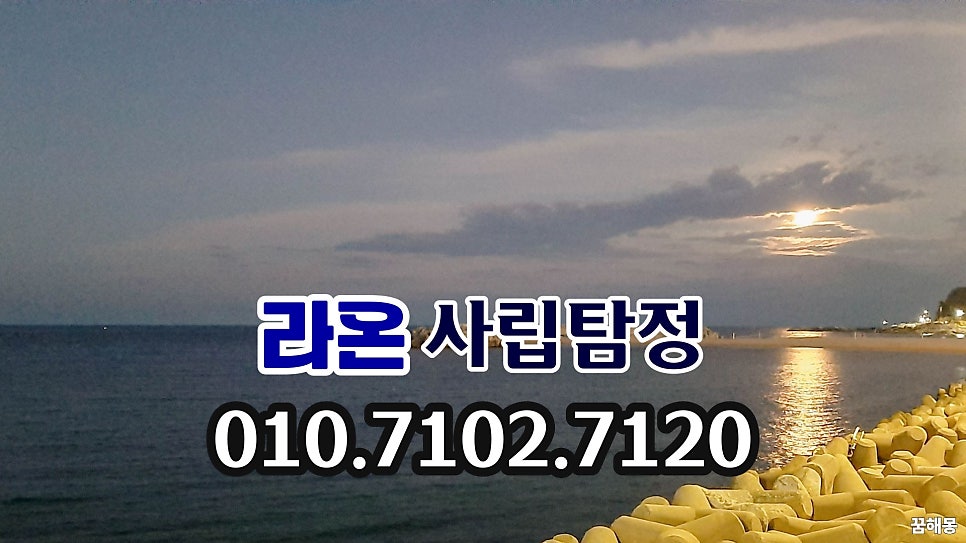 시선 사진 4