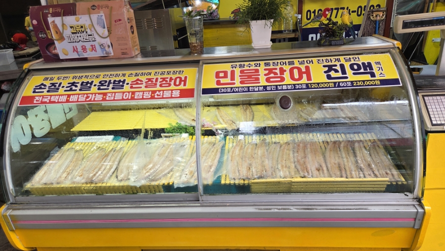 온양장어 사진 4