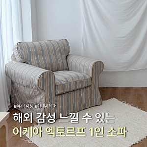 이케아 1인 암체어 소파 엑토르프 감성 인테리어 내돈내산