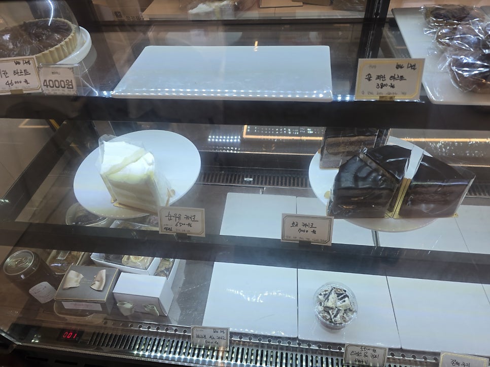 병아리소풍 사진 4