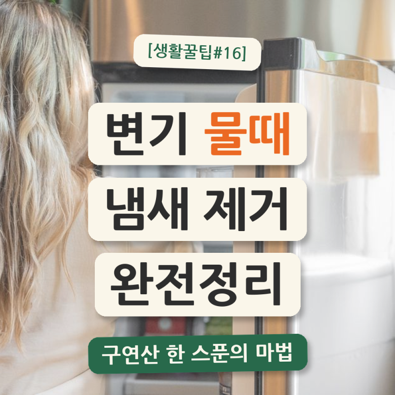 【생활꿀팁#16】 화장실 변기 물때·냄새 제거법