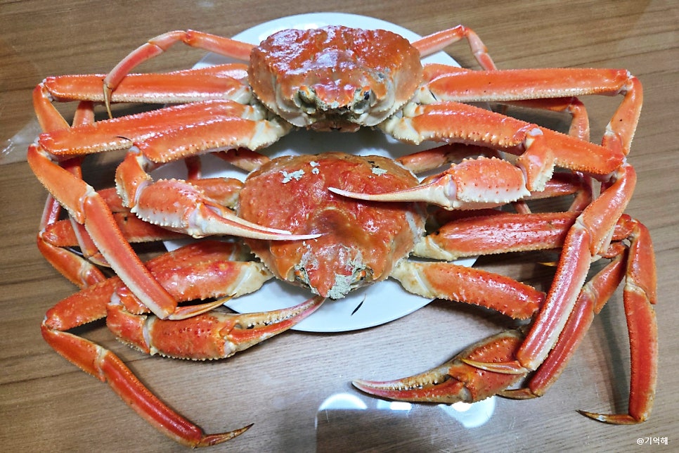 동남호대게 사진 1