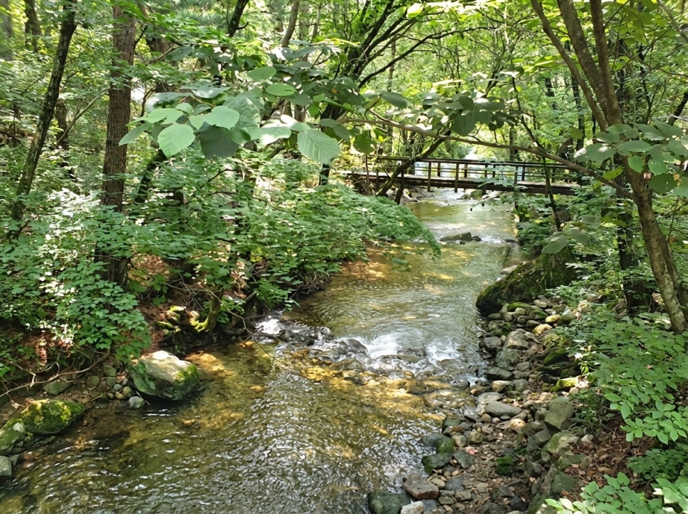 명달계곡 사진 1