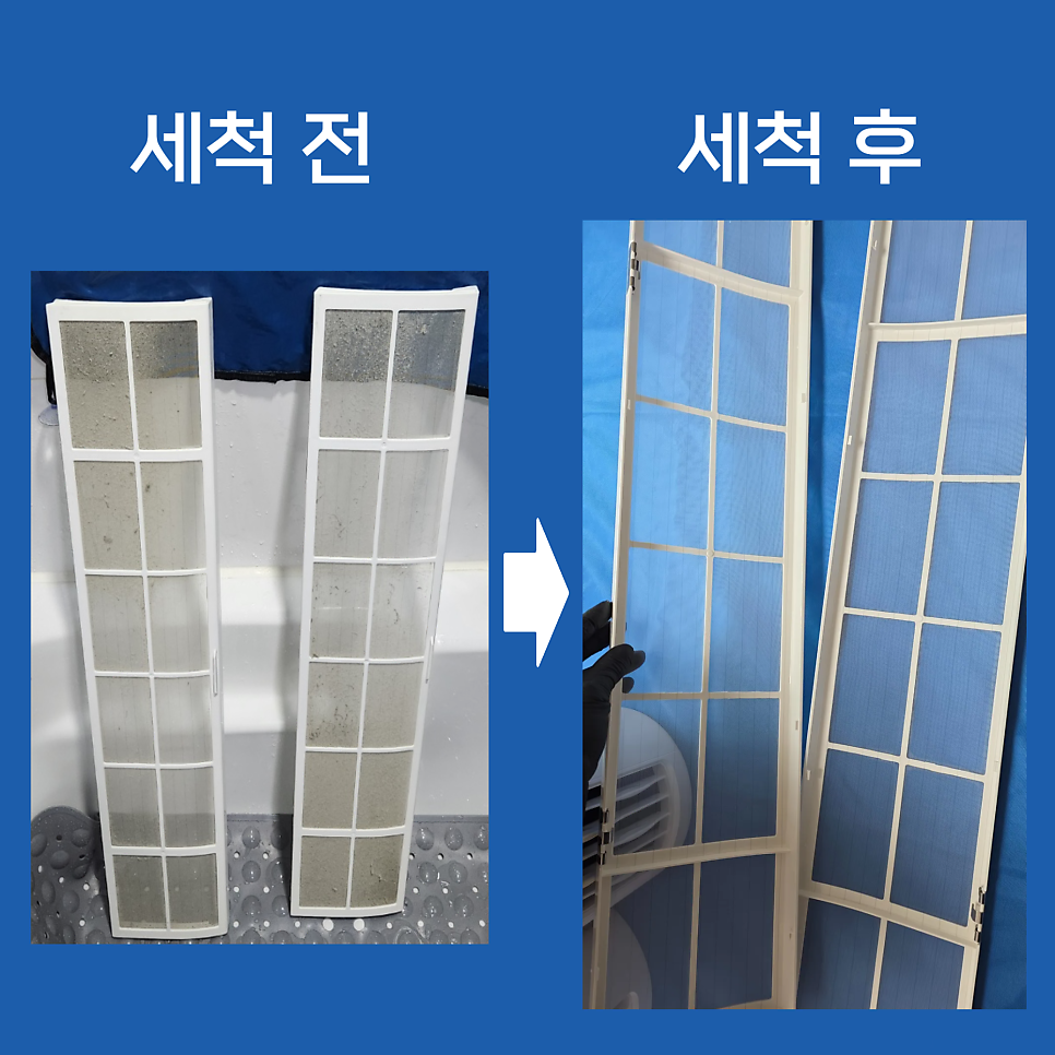 해야 사진 6