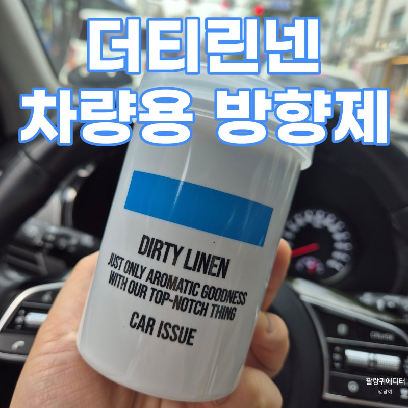 반려견 꼬랑내 제거를 위해 산 '더티 린넨' 차량용 탈취제