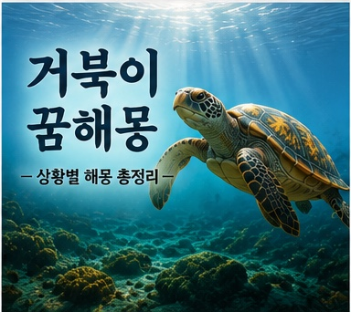 거북이 꿈해몽 총정리｜큰 거북이와 거북이를 잡는 꿈