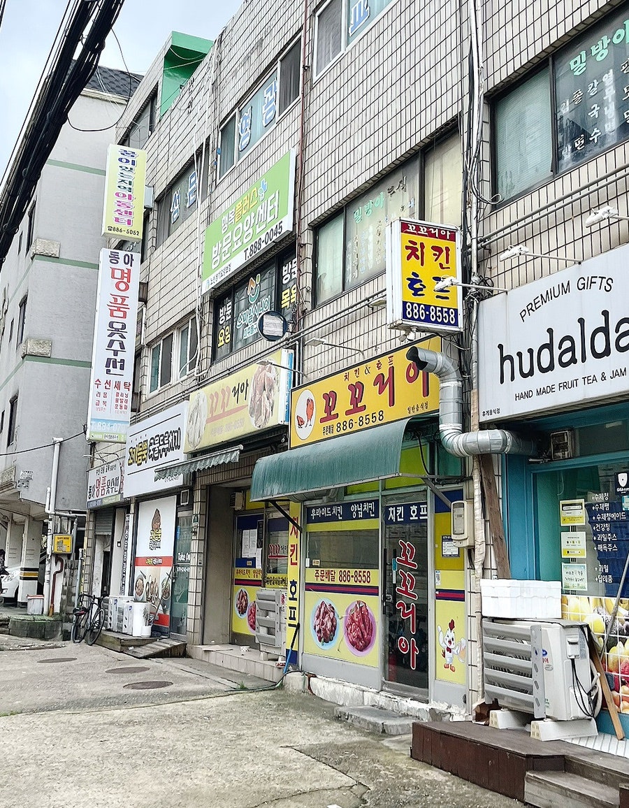 꼬꼬리아 사진 2