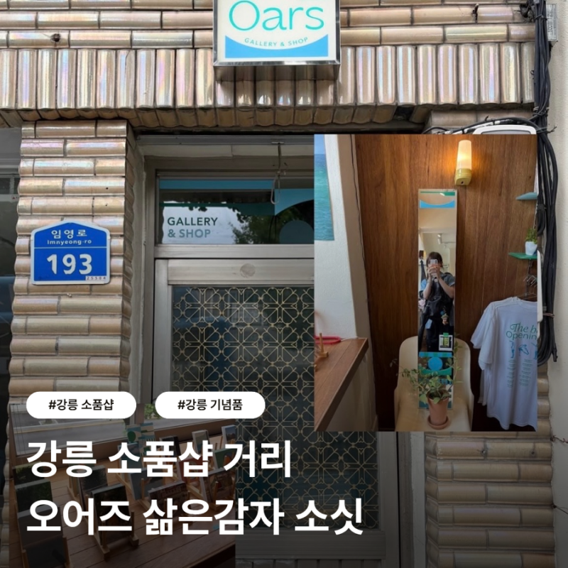 강릉 오어즈 삶은감자 소싯 | 강릉 소품샵 거리 기념품 추천