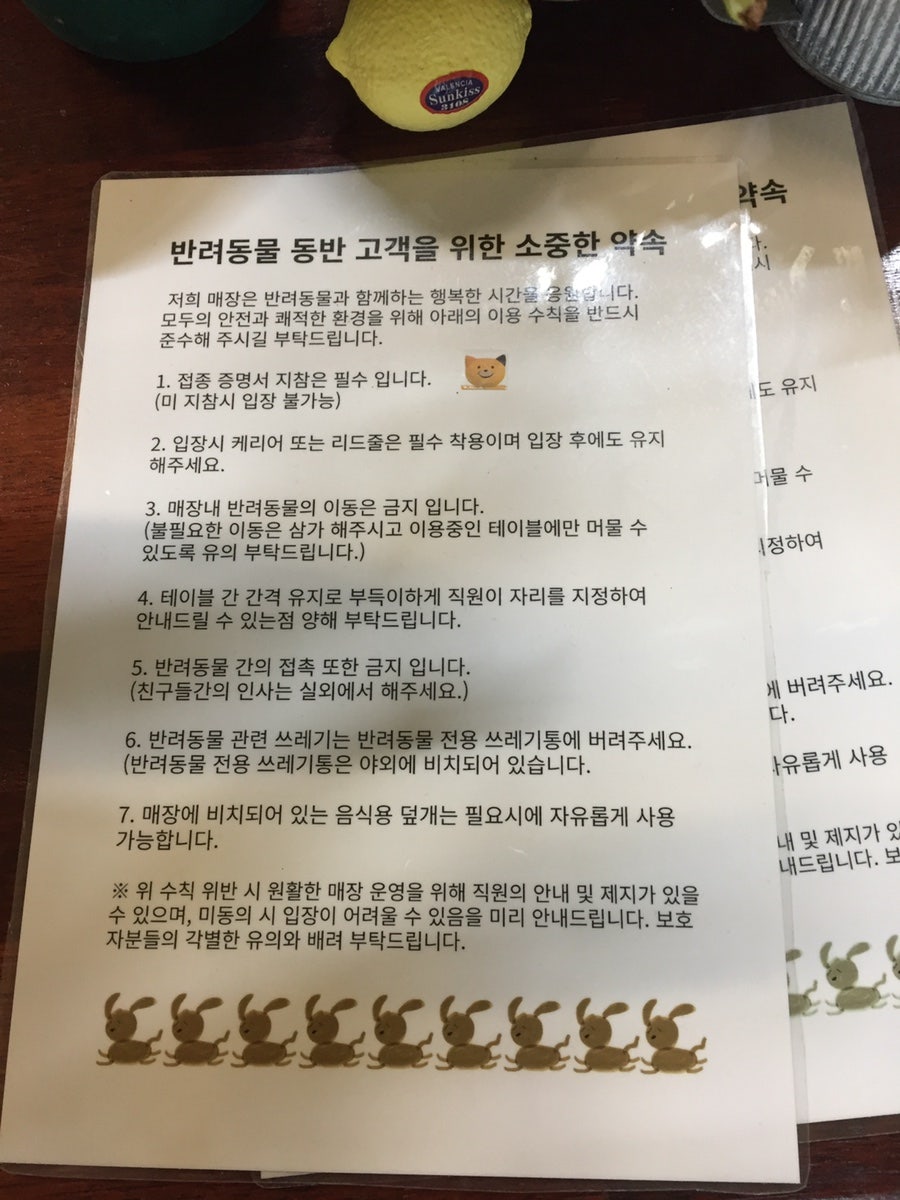 예스마운틴 사진 6