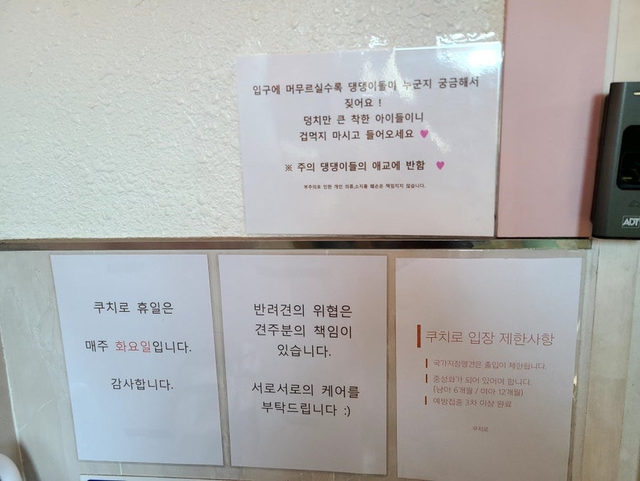 쿠치로 사진 5