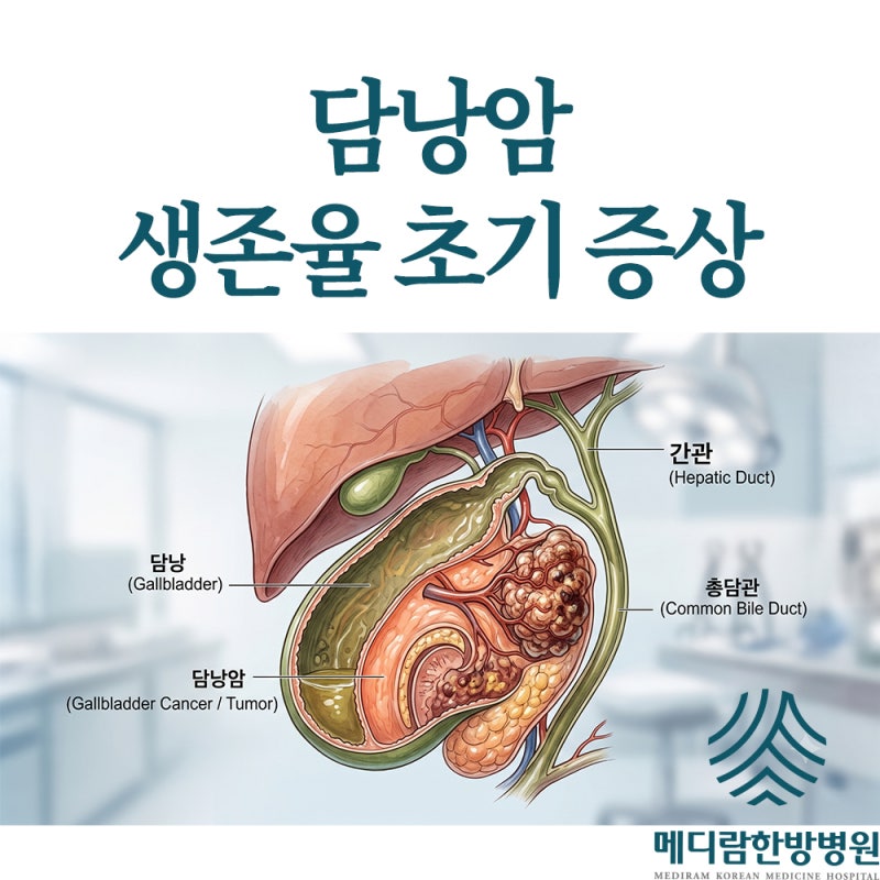 담낭암 1기 2기 3기 4기 생존율 초기 증상