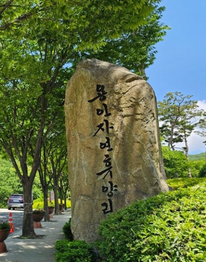 용인자연휴양림 야영장 사진 2