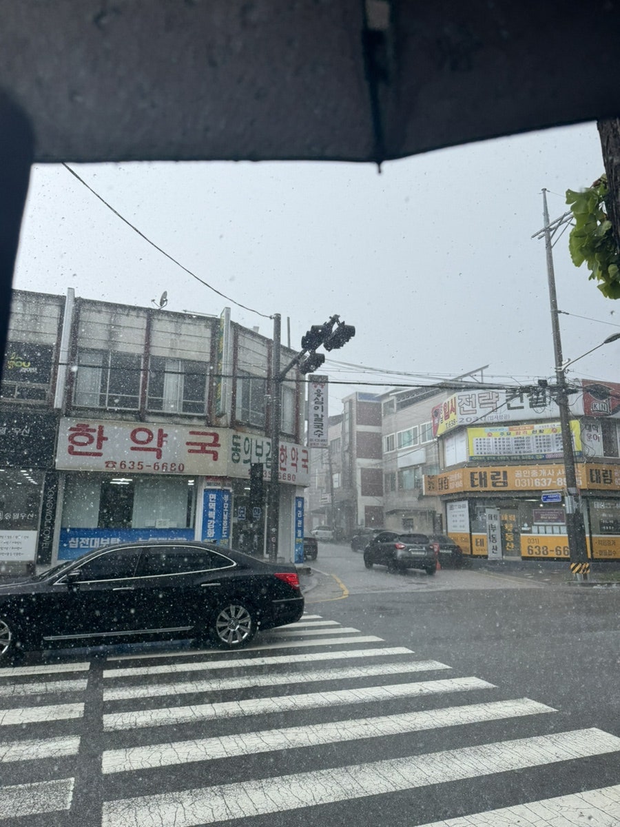 오시스시 사진 1