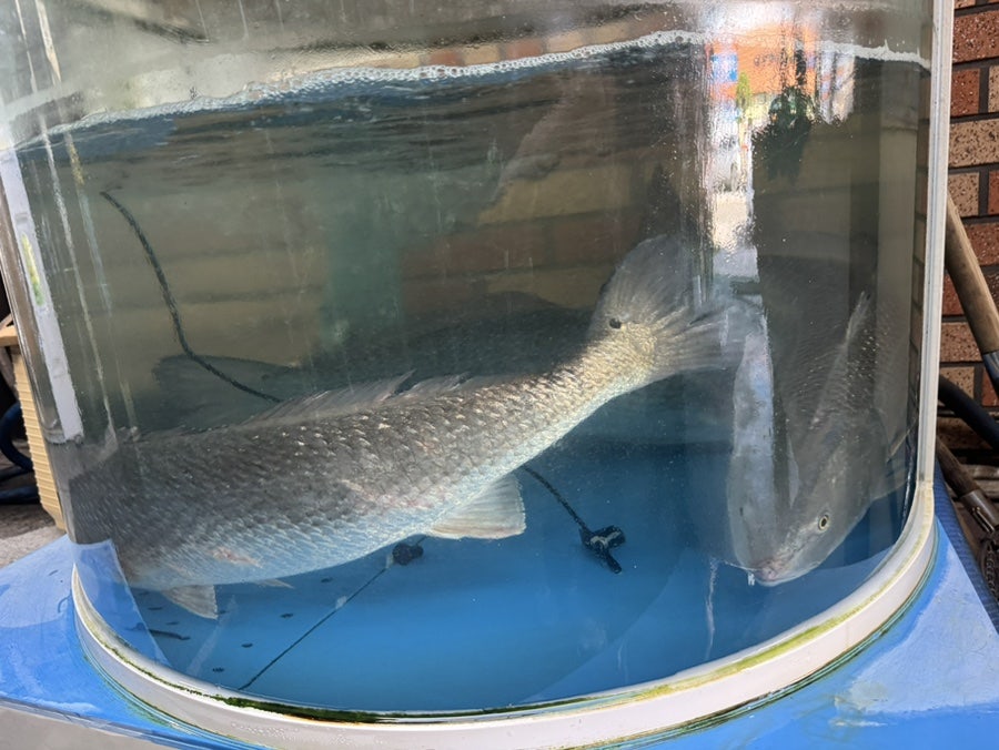 조성복의부엌선착장 사진 4