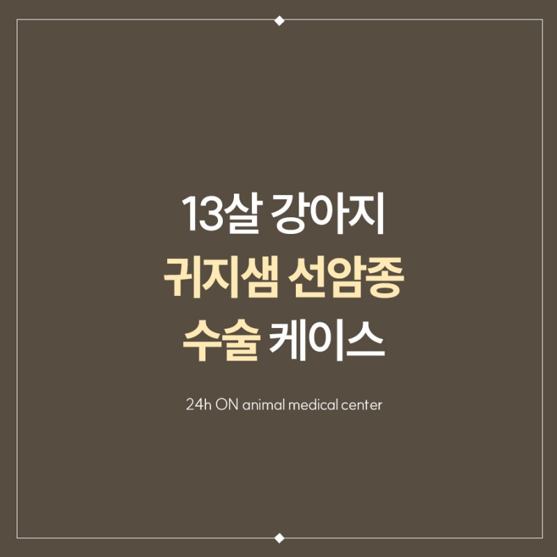 부산 동물병원 강아지 귀 종양 수술, 외이도염인 줄 알았는데 귀지선암?!