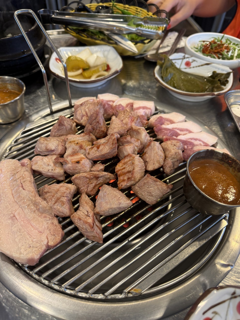 진도새기 사진 3