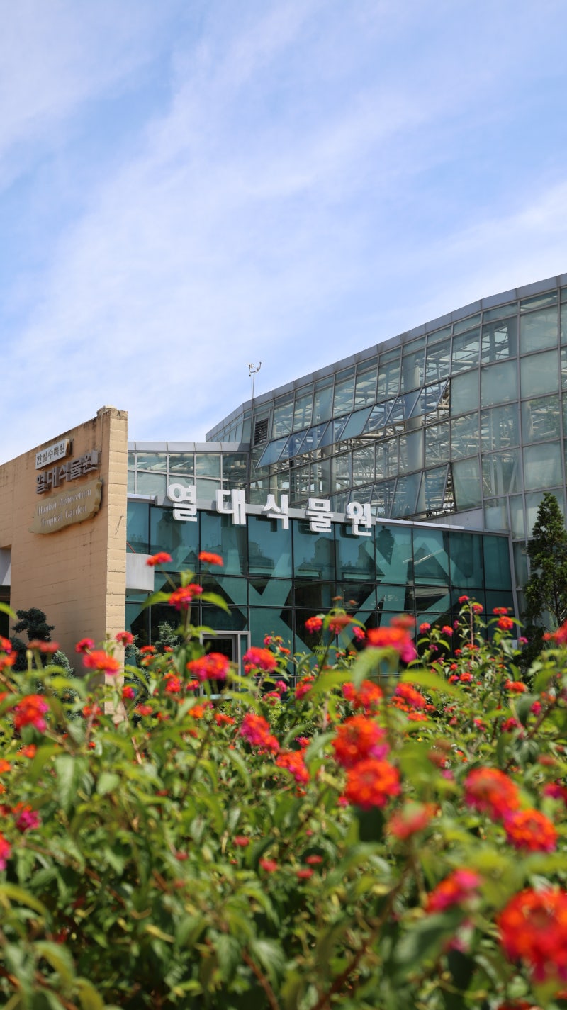 [대전 가볼만한곳] 도심 속 아이랑 가기좋은 한밭수목원 여름 실내 코스 추천 (곤충생태관&천....