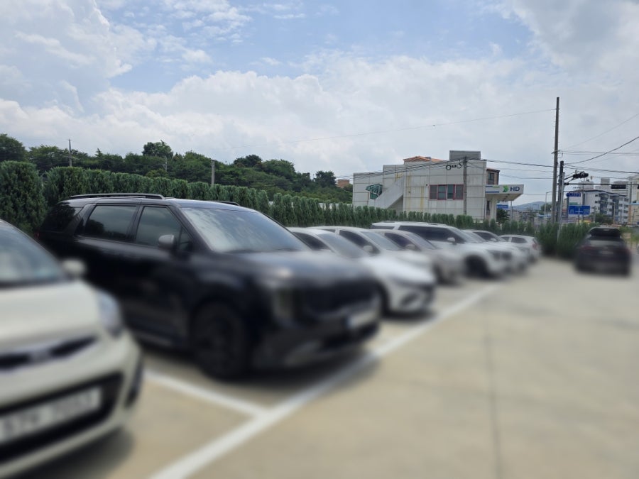 멀로 사진 3