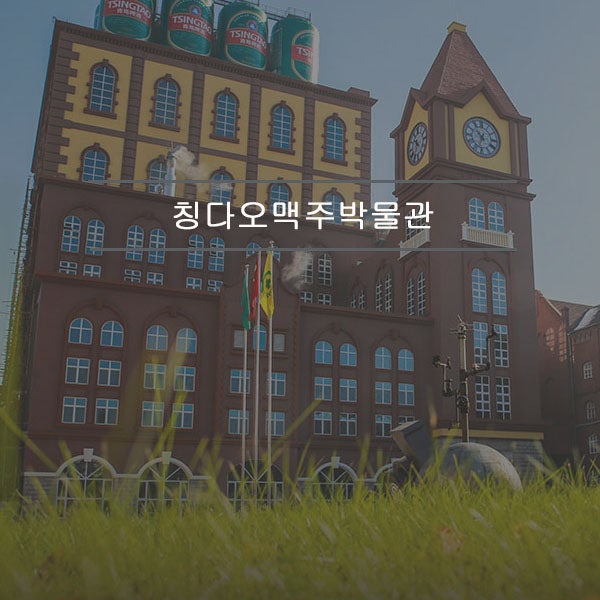 칭다오 맥주박물관 예약 및 취소 꼭 사 와야 하는 트러플 맥주효모 크래커 존맛탱
