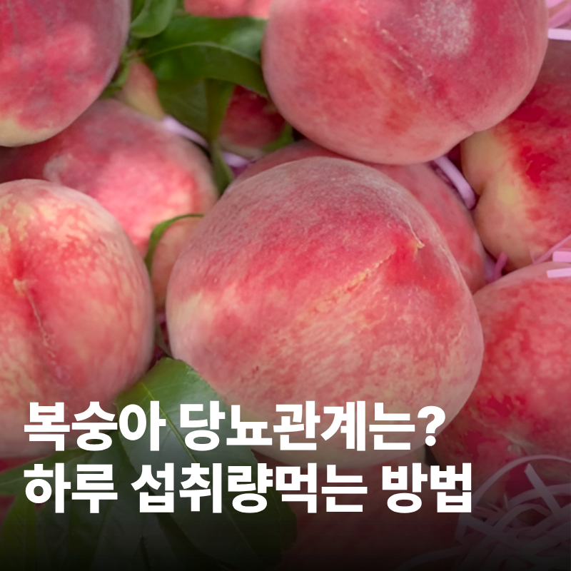 혈당 걱정되는데 복숭아 먹어도 될까? 당뇨 복숭아 하루 섭취량과 먹는 법