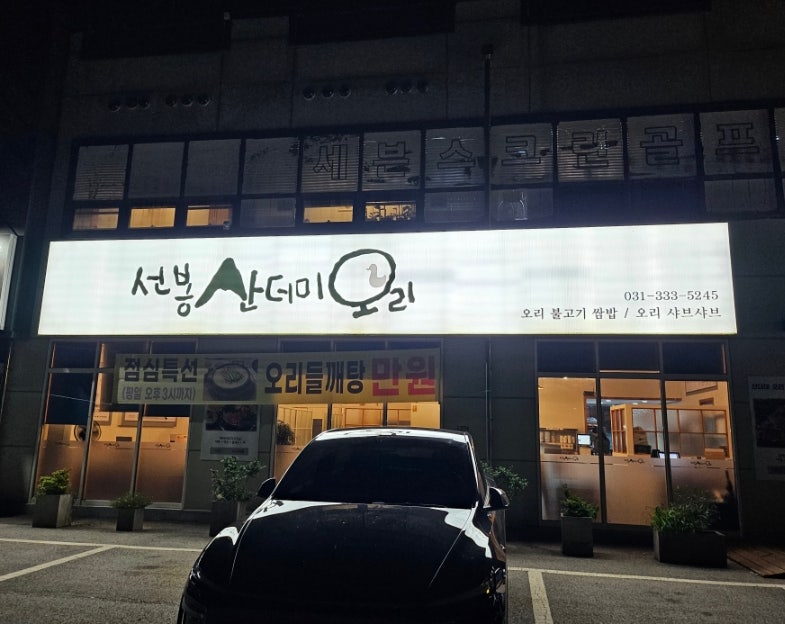 선봉산더미오리 사진 2