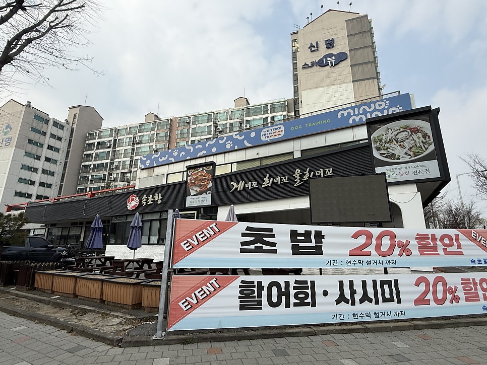속초항 사진 1