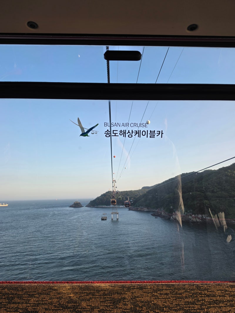 부산 송도 케이블카, 야경 대신 웨이팅 없이 즐긴 에어크루즈