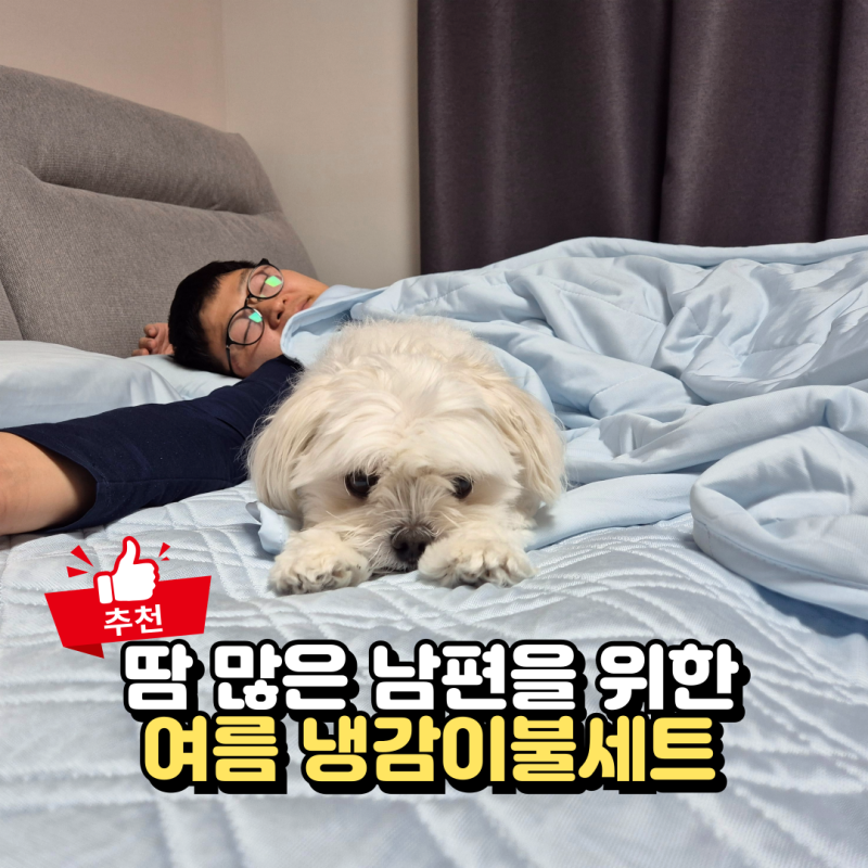 땀 많은 남편을 위한 여름이불세트, 슬라운드 냉감이불패드 후기