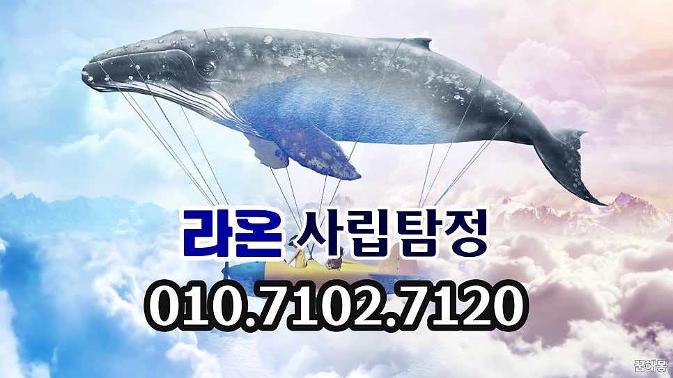 시선 사진 1