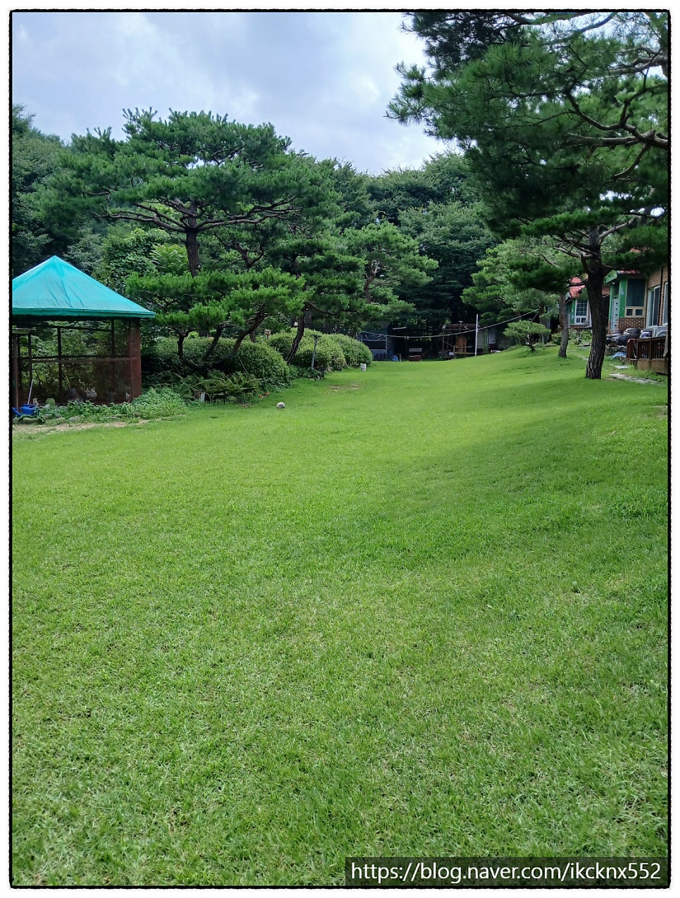 그린하우스펜션 사진 1