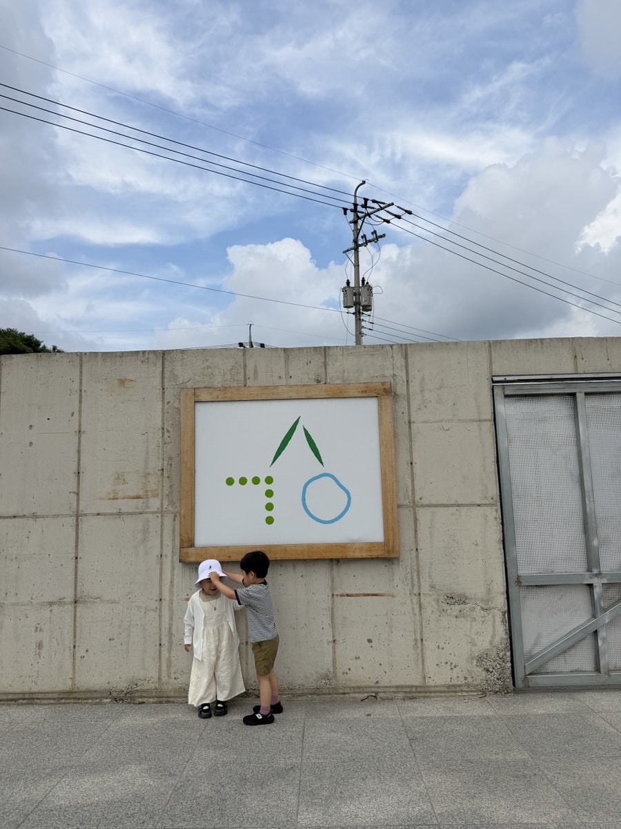 과수원프로젝트 사진 2