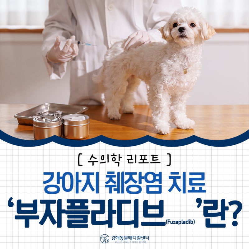 [강아지 췌장염 치료] 구토와 통증으로 고통받는 아이를 위한 새로운 희망, '부자플라디브(Fuz....