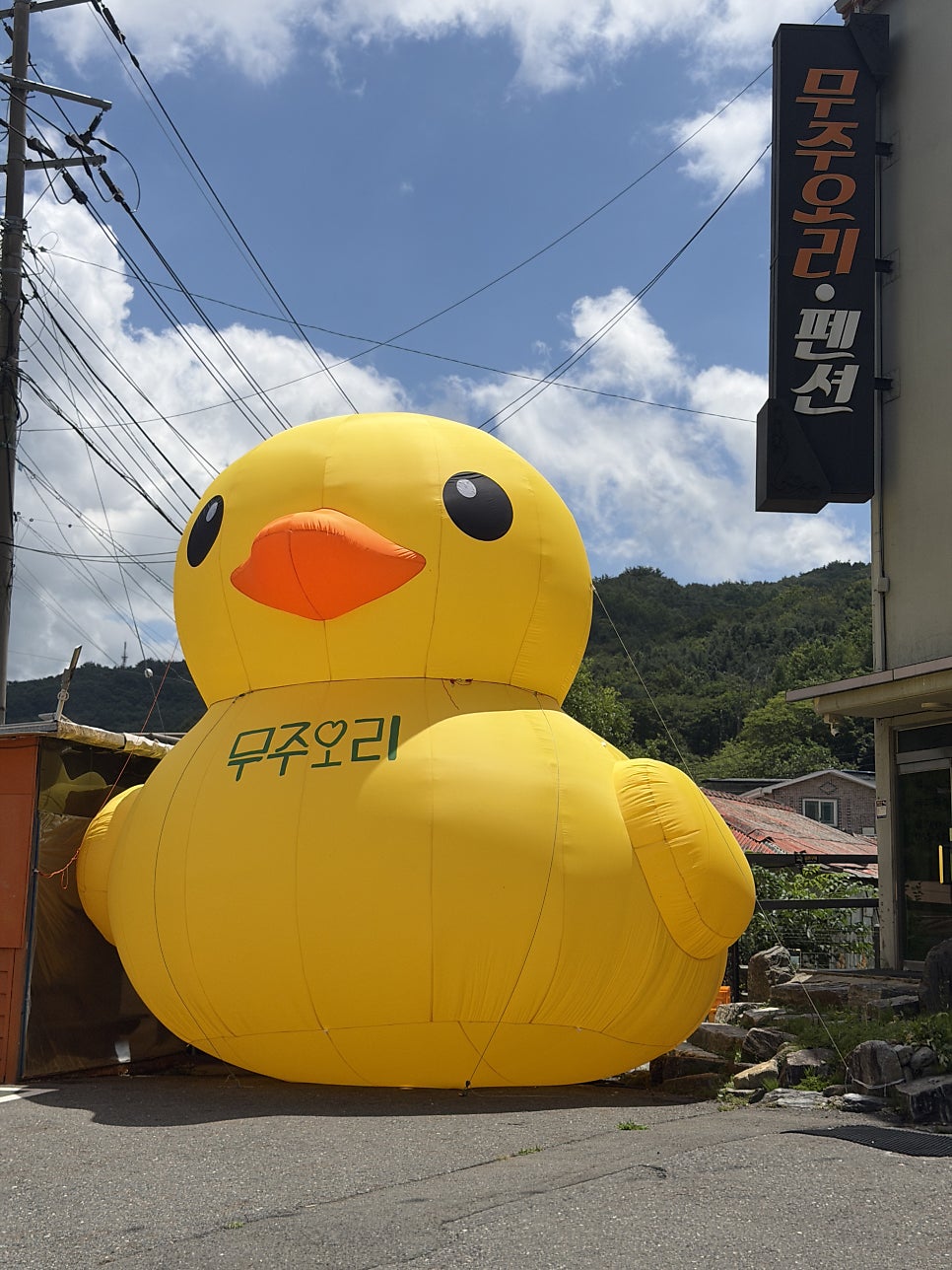 무주오리 사진 1